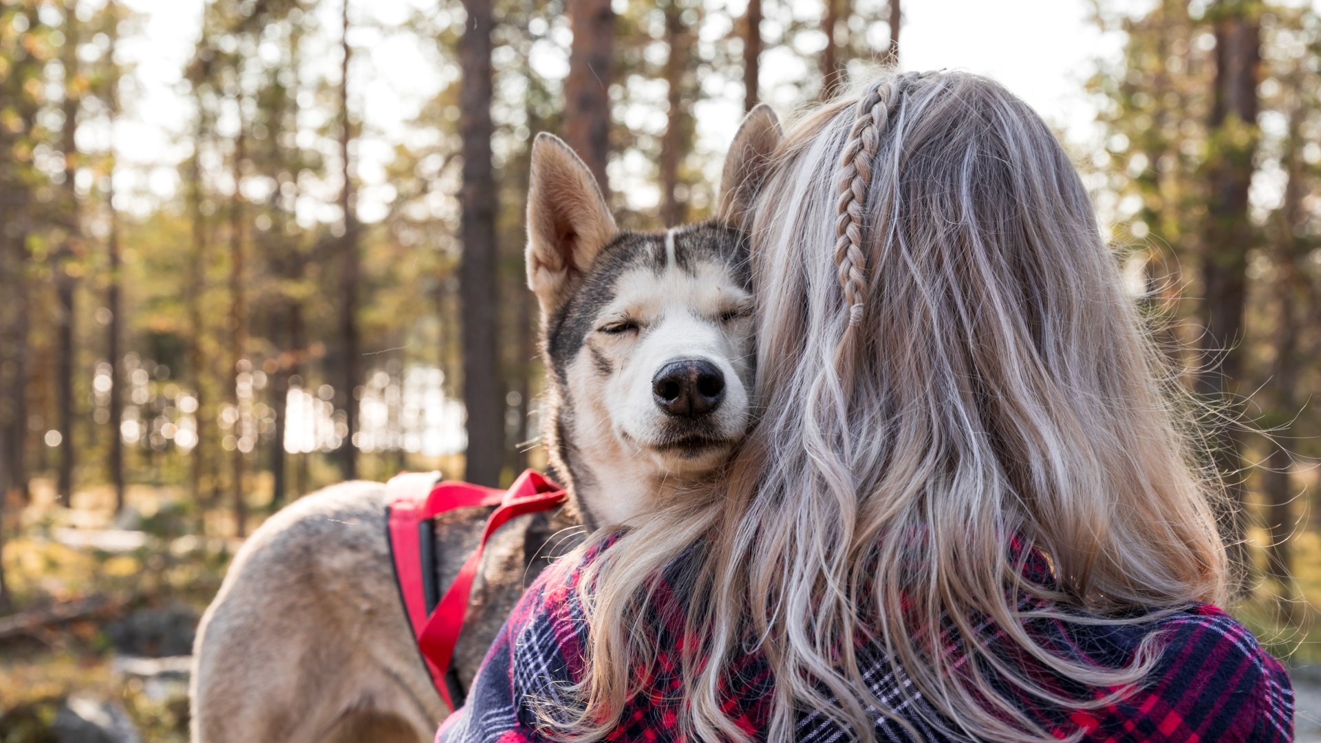 Husky Farm Besuch
